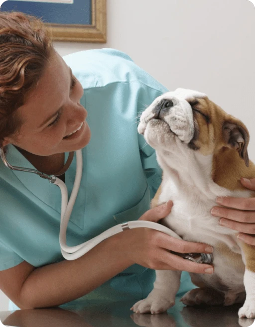 Rectangle 34626755-min